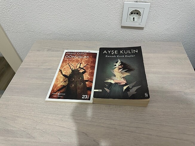 Ayşe kulin