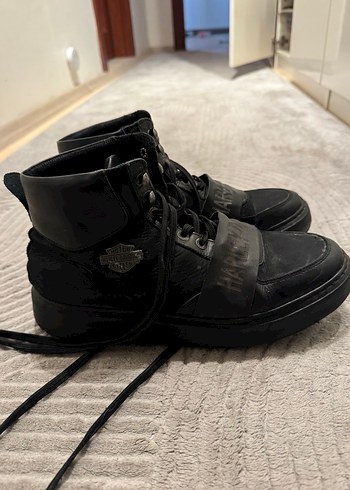 Harley davidson bot - Görsel 2