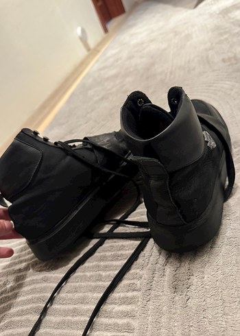 Harley davidson bot - Görsel 3