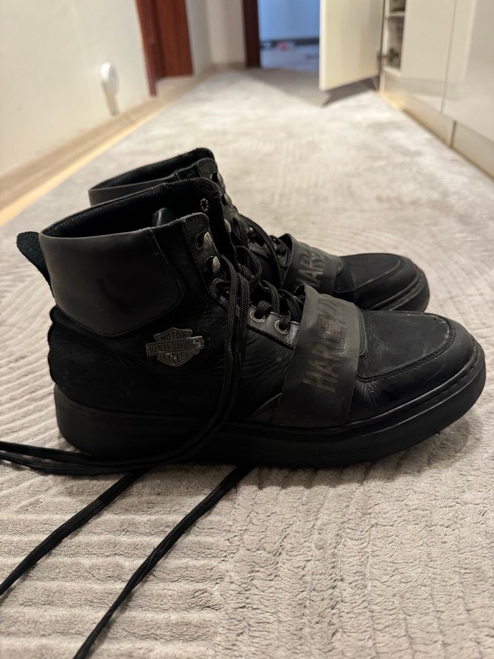 Harley davidson bot - Görsel 2