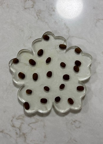 Kahve çekirdekli epoksi bardak altlığı - Görsel 2