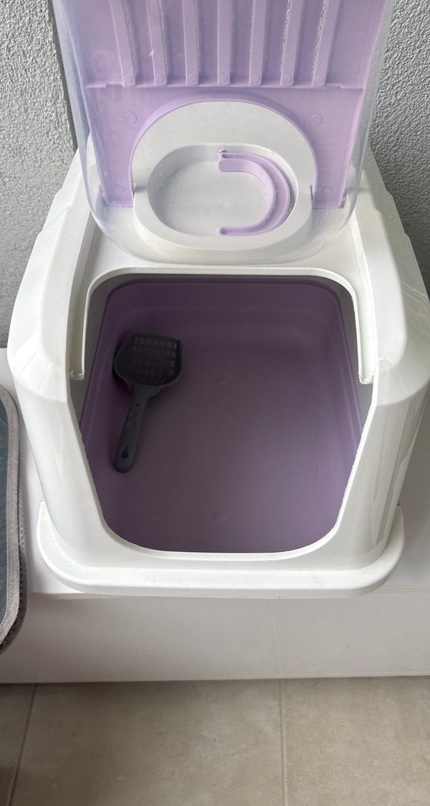 Mor Kapaklı beyaz Kedi Tuvalet Kabı - Görsel 2