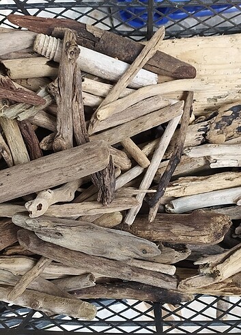 Sepet driftwood