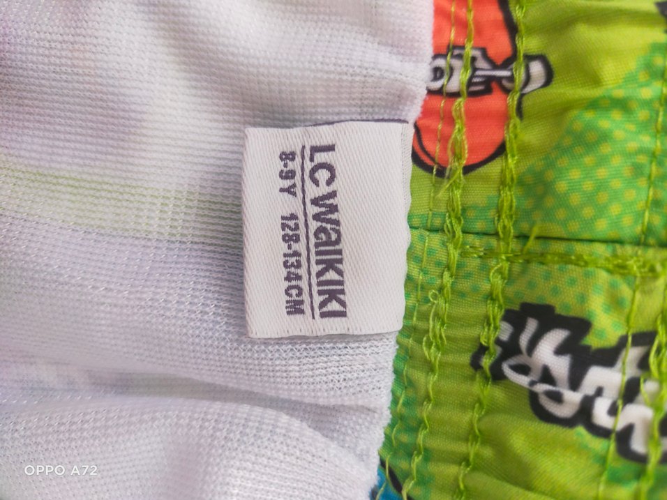 Renkli Baskılı Erkek Şort - Görsel 3