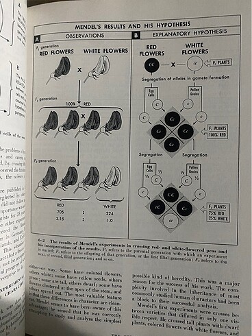 Life An Introduction to Biology - Görsel 7