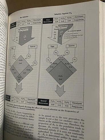 Life An Introduction to Biology - Görsel 9