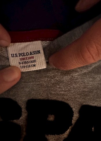 USPA Gri Erkek Çocuk Kapüşonlu Sweatshirt - Görsel 2