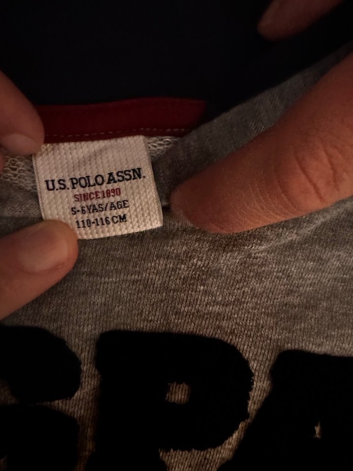 USPA Gri Erkek Çocuk Kapüşonlu Sweatshirt - Görsel 2