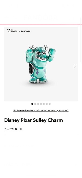 Pandora sulley Charm