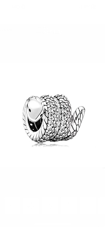 Yılan charm