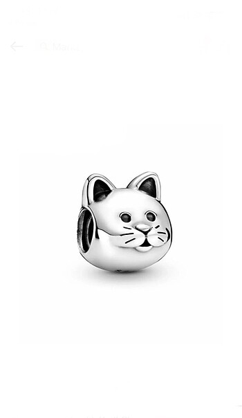 Kedi Charm