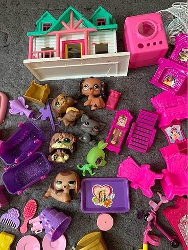  minis ve minis evi seyi