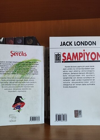 Beden Renk küçük cadı şeroks ve şampiyon