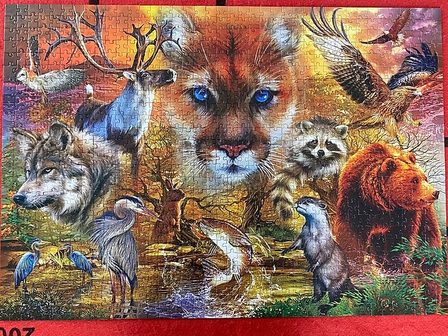 Puzzle