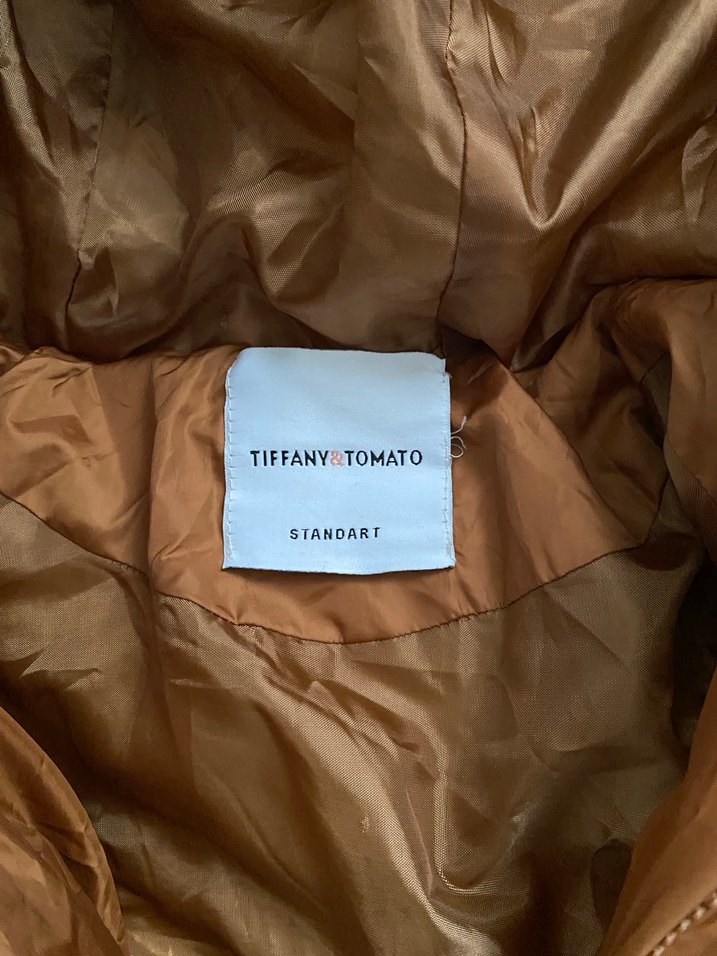 Tarçın Uzun Kadın Kışlık Mont - Görsel 2