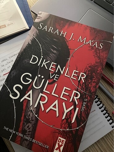 DİKENLER VE GÜLLER SARAYI