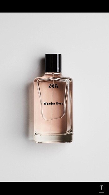 Zara wonder rose