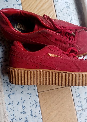 Puma 38