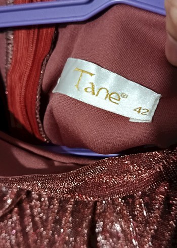 Uzun Kollu bakır Piliseli Triko Elbise - Görsel 5