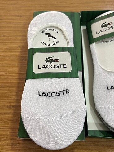 Beden LACOSTE erkek çorap