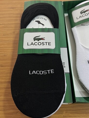 Beden çeşitli Renk LACOSTE erkek çorap
