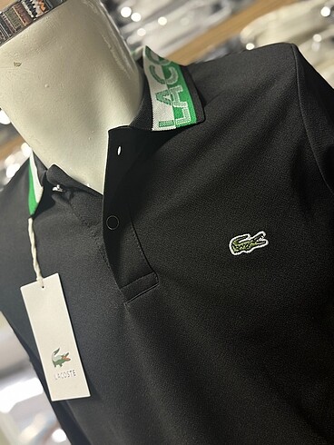 Lacoste LACOSTE erkek