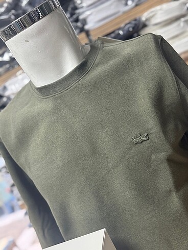 Lacoste LACOSTE erkek