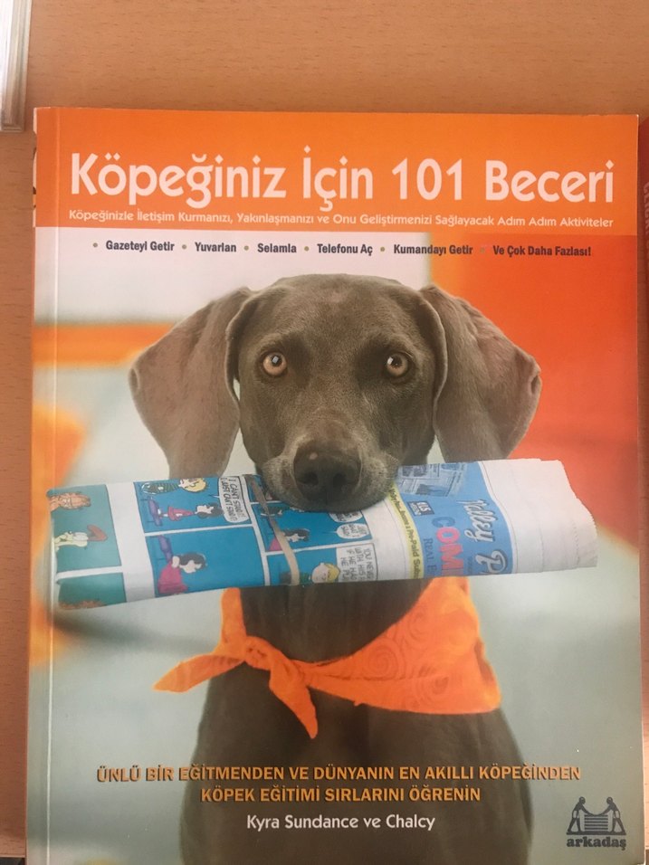 Köpek Eğitim Sistemi Kitabı - Görsel 3