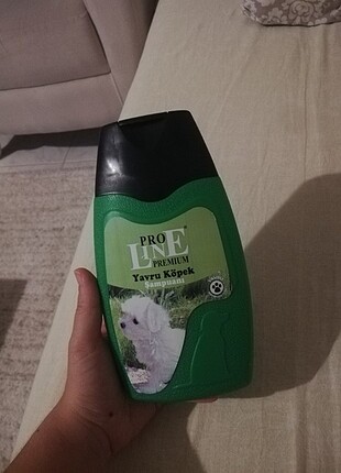 Line yavru köpek şampuanı 