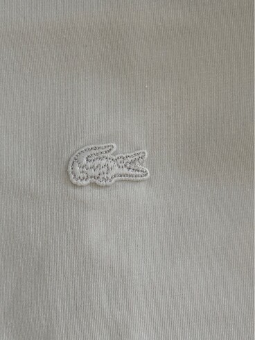 m Beden Lacoste erkek tshirt m beden orjinaldir!