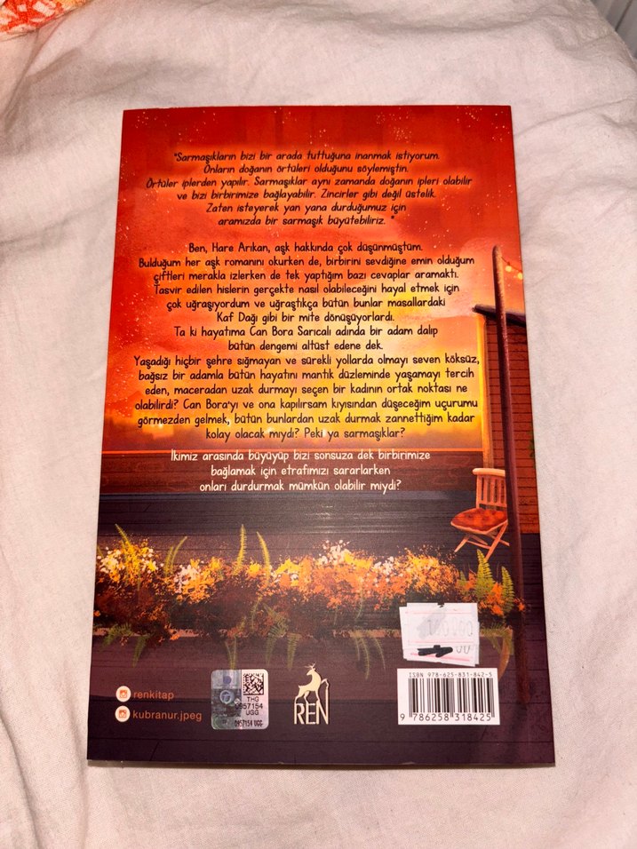 Bir Sarmaşık Teorisi - Kübra Nur - Görsel 2