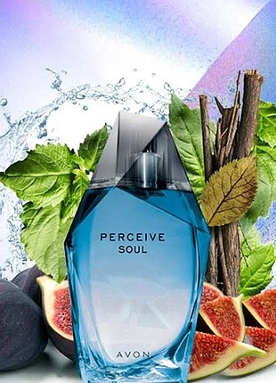 Avon Perceive Soul Erkek parfüm 