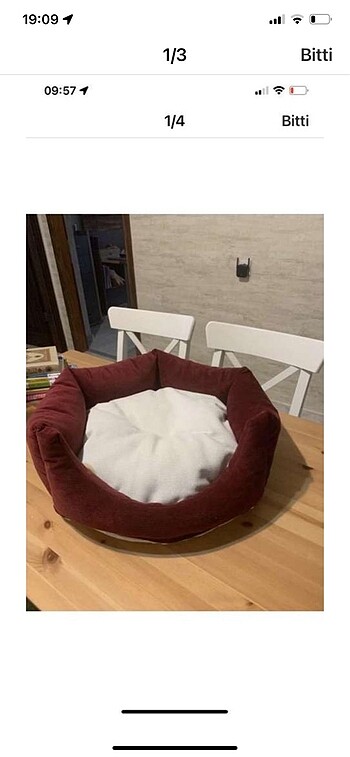 Kedi yatağı
