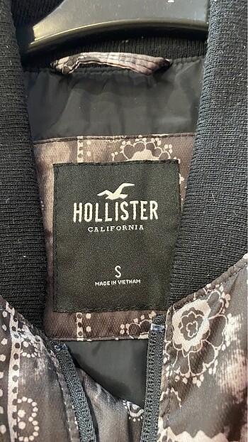Hollister Mont.
