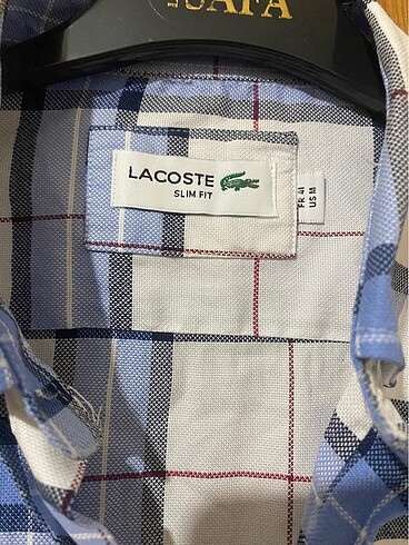 Lacoste Erkek gömlek