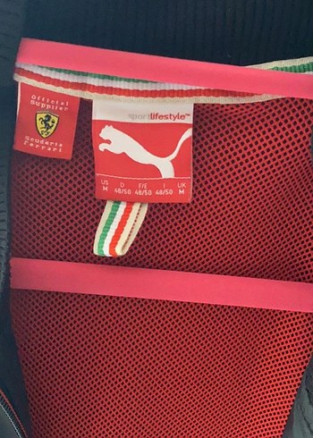 Ferrari rüzgarlık - Görsel 6