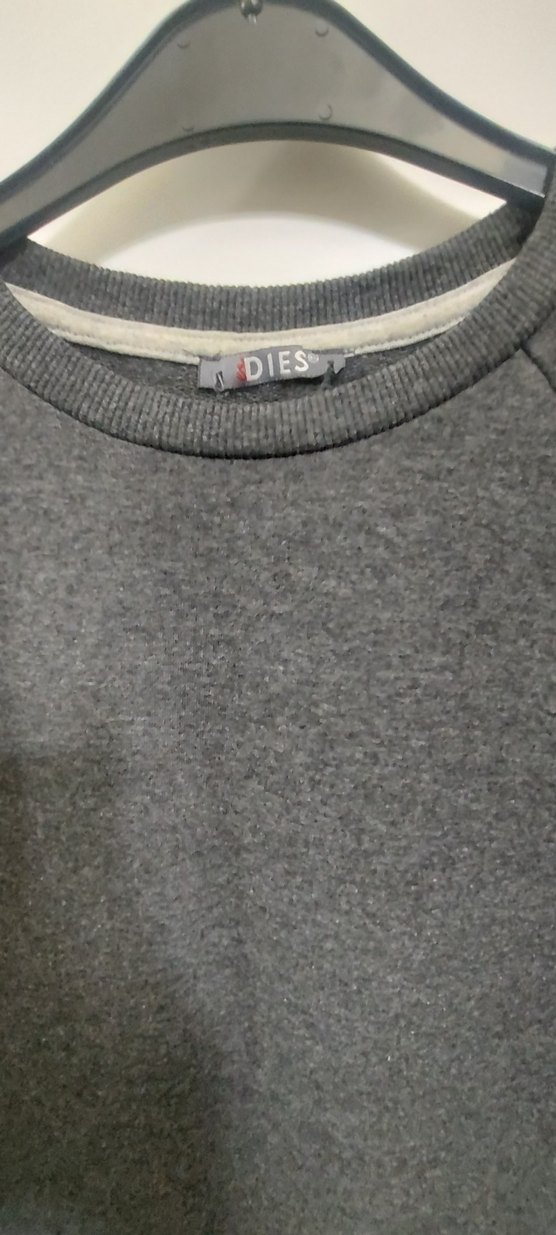 DIES Gri Nakışlı Kadın Sweatshirt - Görsel 4