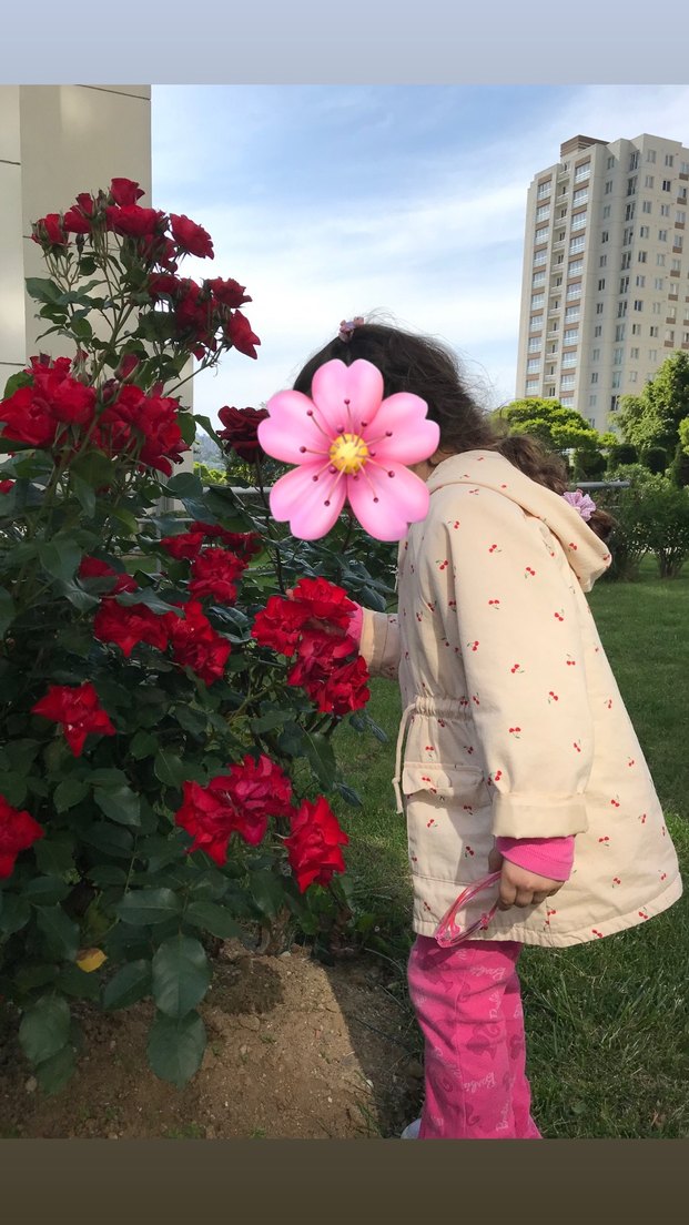 LCW baby Kapüşonlu Kız Bebek Mont - Görsel 4