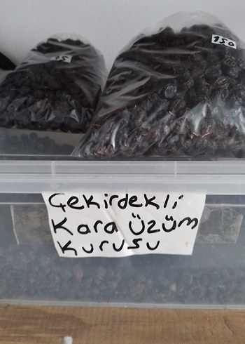  Beden cekirdekli uzum kurusu