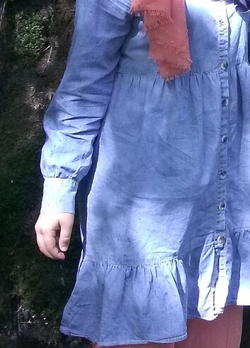 Kot tunik
