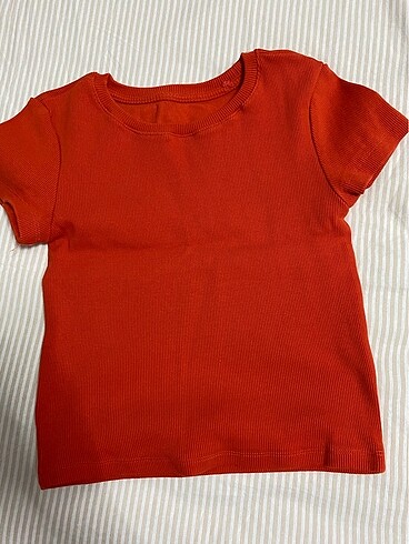 Fitili crop
