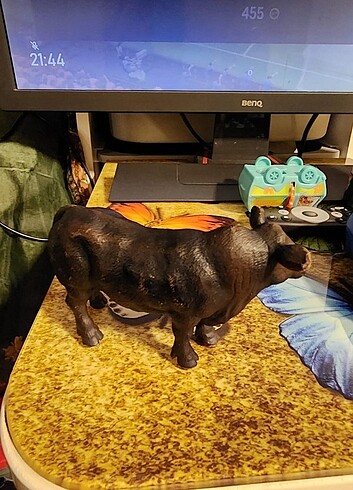 Angus Bull Erkek İnek Figürü