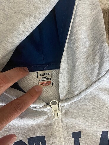 LC Waikiki Erkek yelek