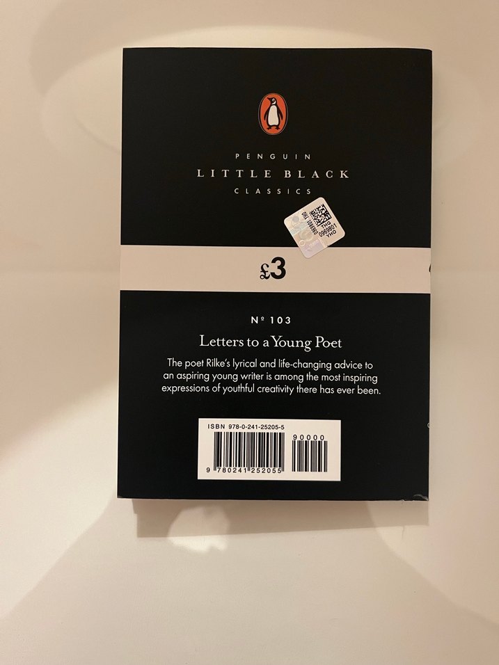 Rainer Maria Rilke - Genç Bir Şaire Mektuplar - Görsel 2