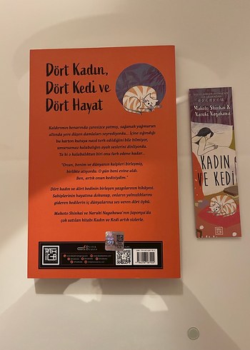 Kadın ve Kedi - Makoto Shinkai & Naruki Nagakawa - Görsel 2