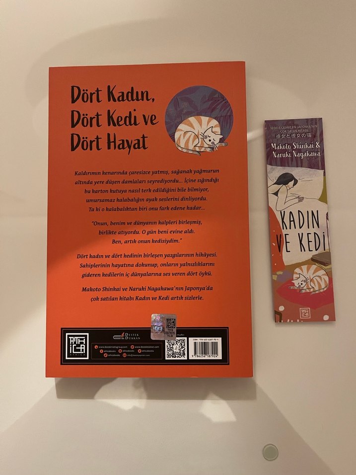 Kadın ve Kedi - Makoto Shinkai & Naruki Nagakawa - Görsel 2