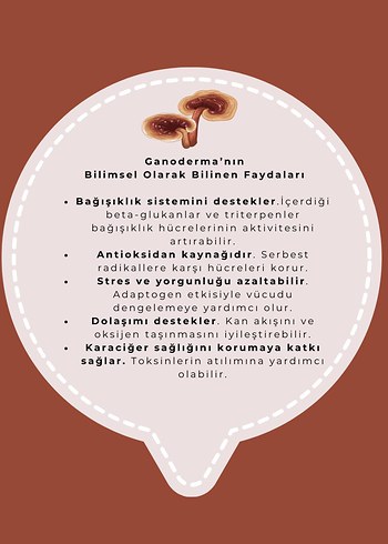 Diğer Gano 3'ü Bir Arada Kahve