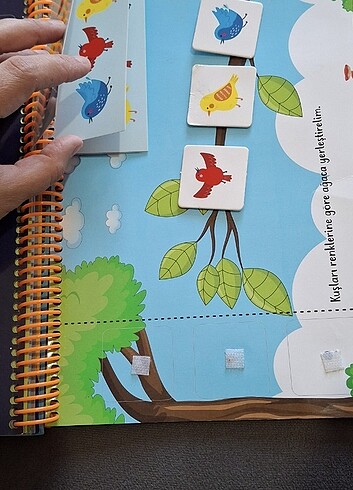 Yükselen Zeka 16-24 Ay Cırt Cırtlı kitap