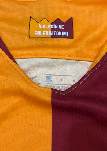 Galatasaray Erkek Kısa Kollu Tişört - Görsel 3