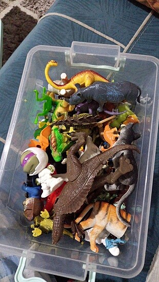 Bir kutu dinozor ve çeşitli oyuncak